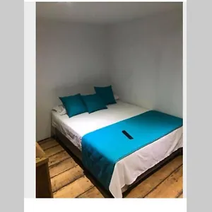 Blue Parrot San Antonio Apartamento