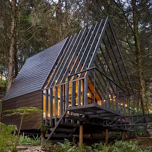  Hotel Oculto Refugio De Bosque Colombia